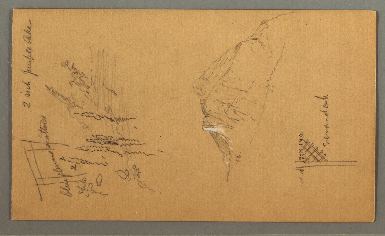 Rysunek, Szczyt górski, roślinność przy basenie, 1868 r. autorstwa Frederic Edwin Church