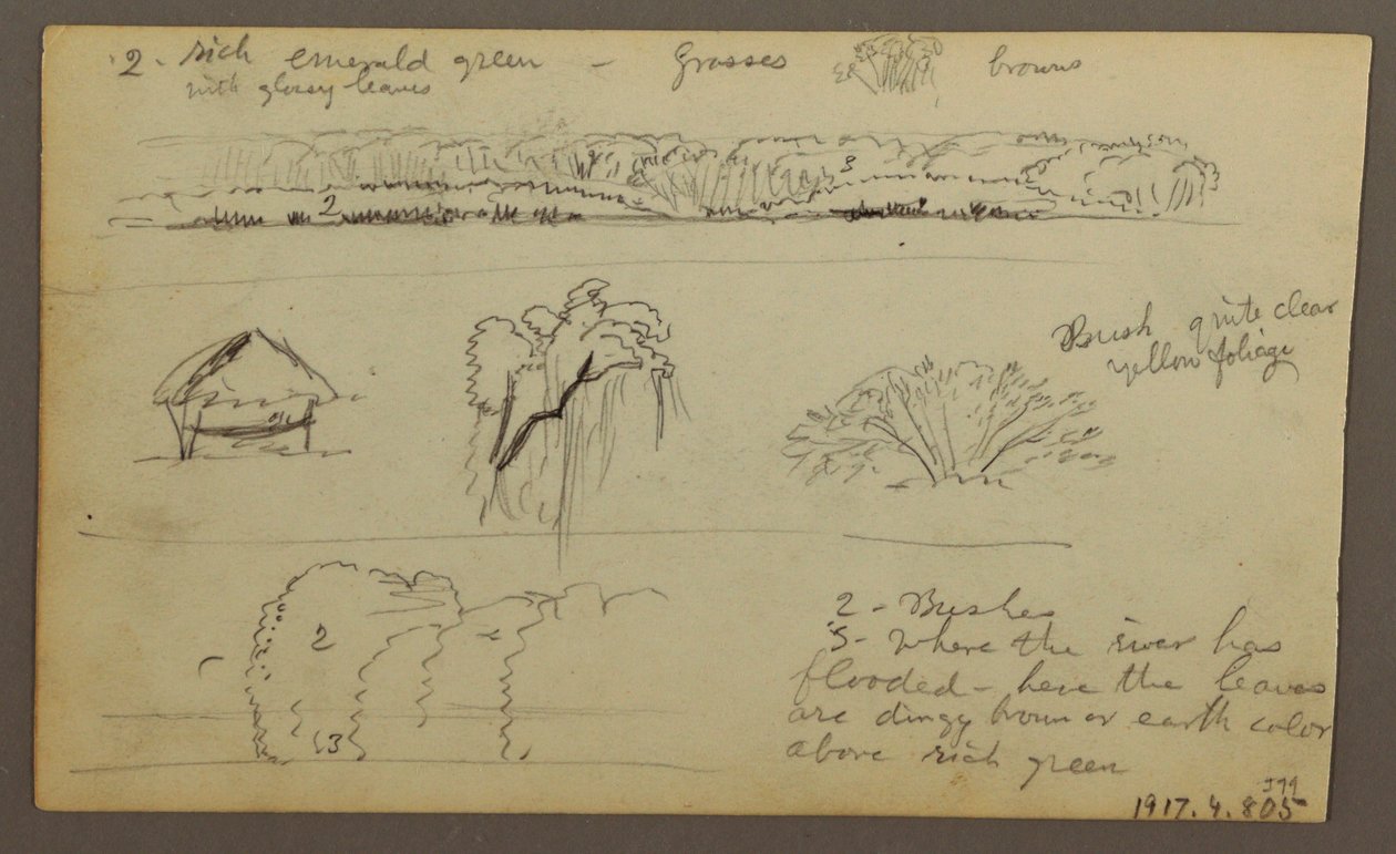 Rysunek, pasma górskie "wchodzące do Guayaquil"; Verso: brzeg rzeki, szkice botaniczne, prawdopodobnie 1857 r. autorstwa Frederic Edwin Church