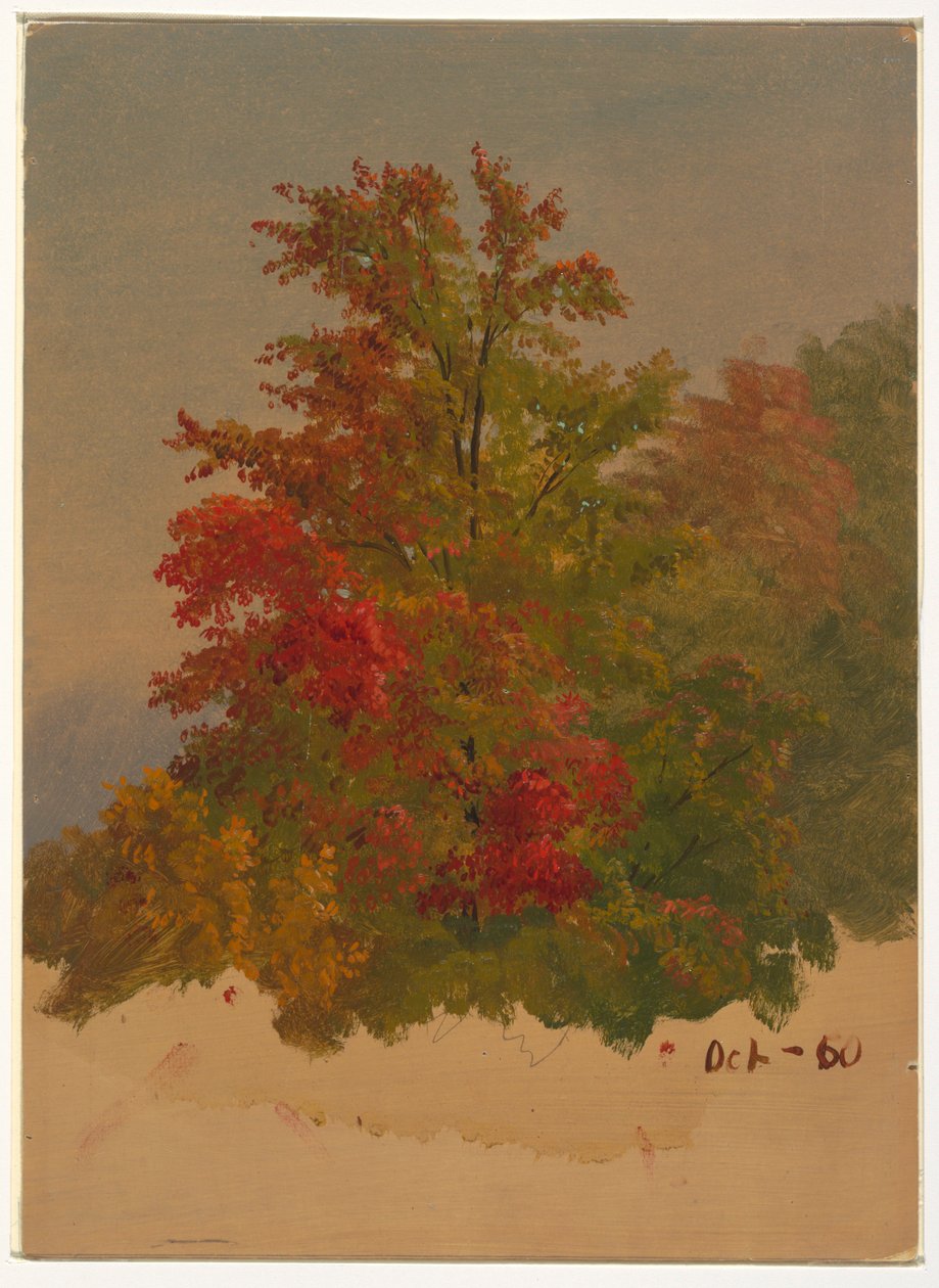 Rysunek, Mt. Desert Island, Maine, październik 1860 r. autorstwa Frederic Edwin Church