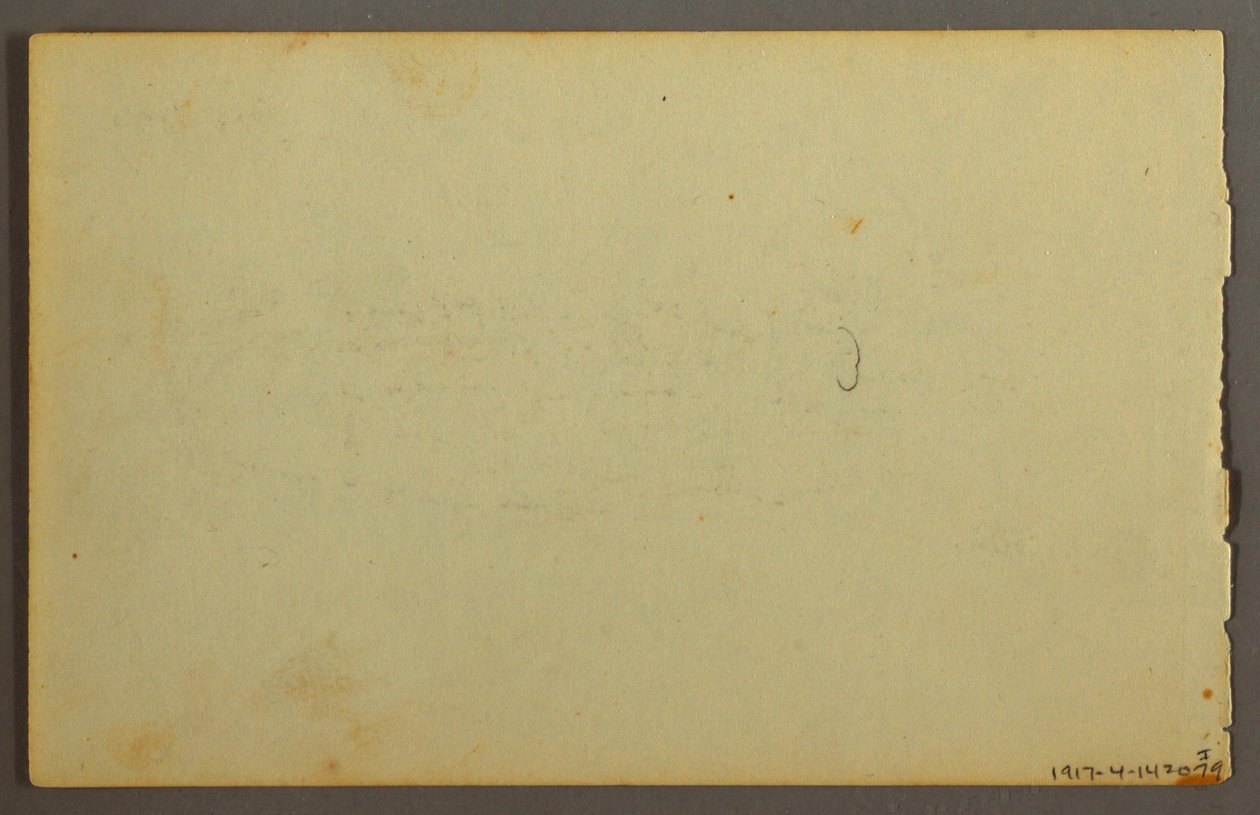 Rysunek, studium rośliny, twarze, prawdopodobnie 1844 r. autorstwa Frederic Edwin Church