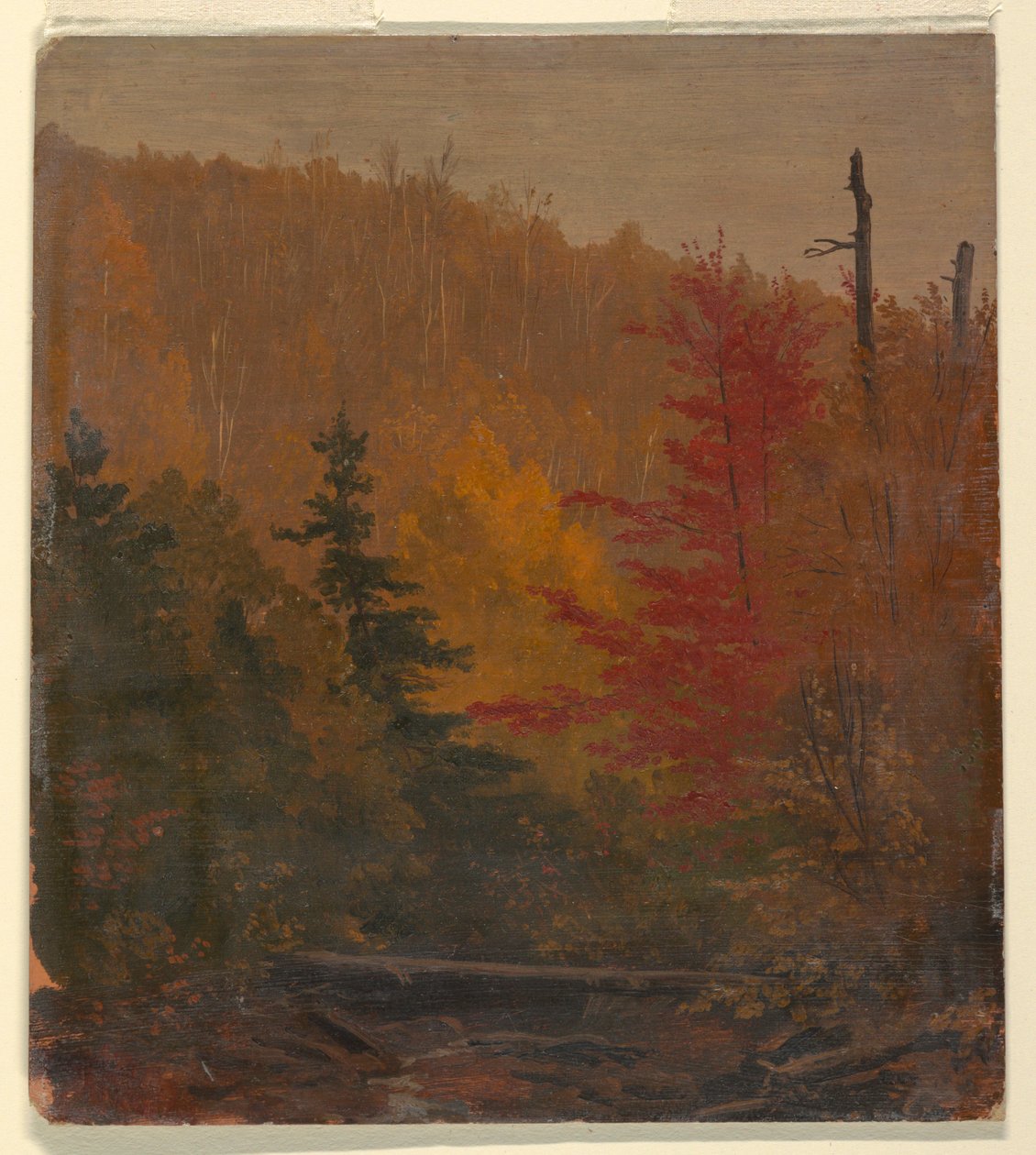 Rysunek, prawdopodobnie w pobliżu Katahdin, jesień, 1865-70 autorstwa Frederic Edwin Church