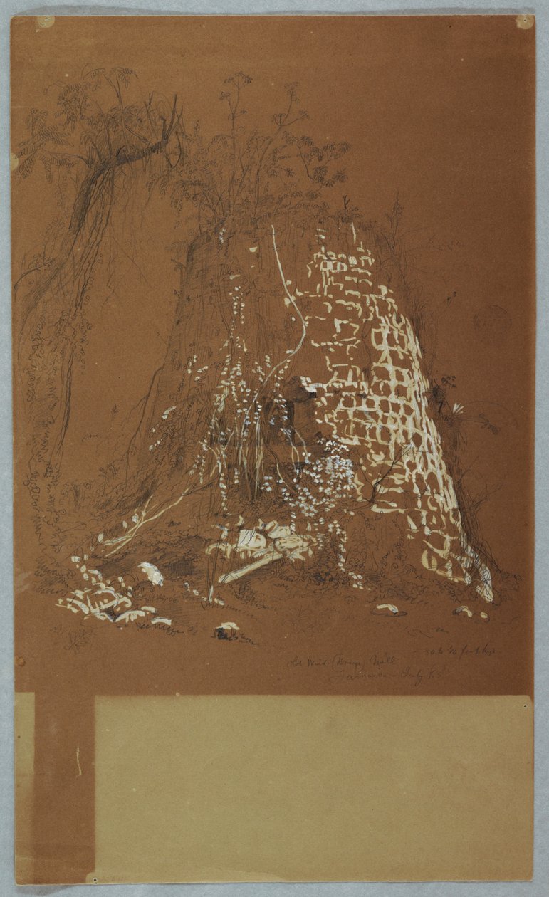 Rysunek, zrujnowany stary wiatrak, Jamajka, lipiec 1865 r. autorstwa Frederic Edwin Church