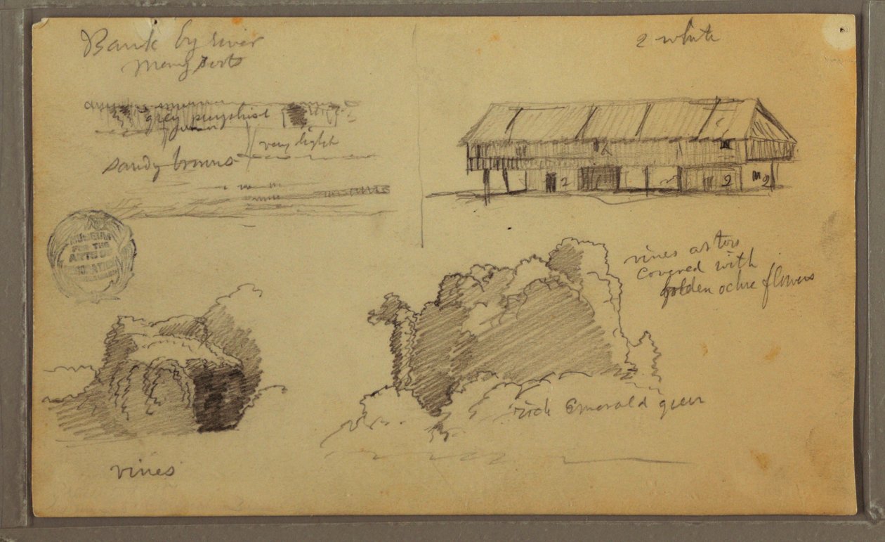 Rysunek, Szkice, Ekwador lub Kolumbia; Verso: Szkice, Ekwador lub Kolumbia, 1857 r. autorstwa Frederic Edwin Church