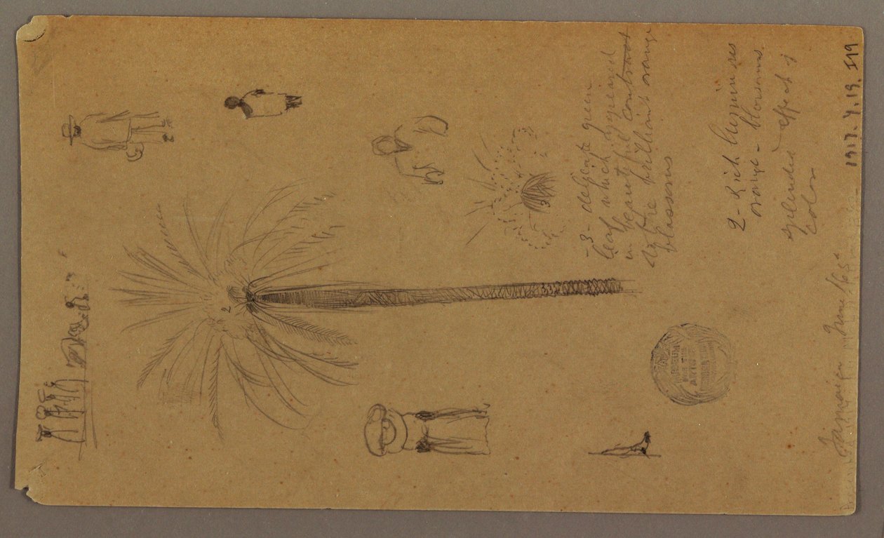 Rysunek, Szkice z Jamajki, Indie Zachodnie, czerwiec 1865 r. autorstwa Frederic Edwin Church