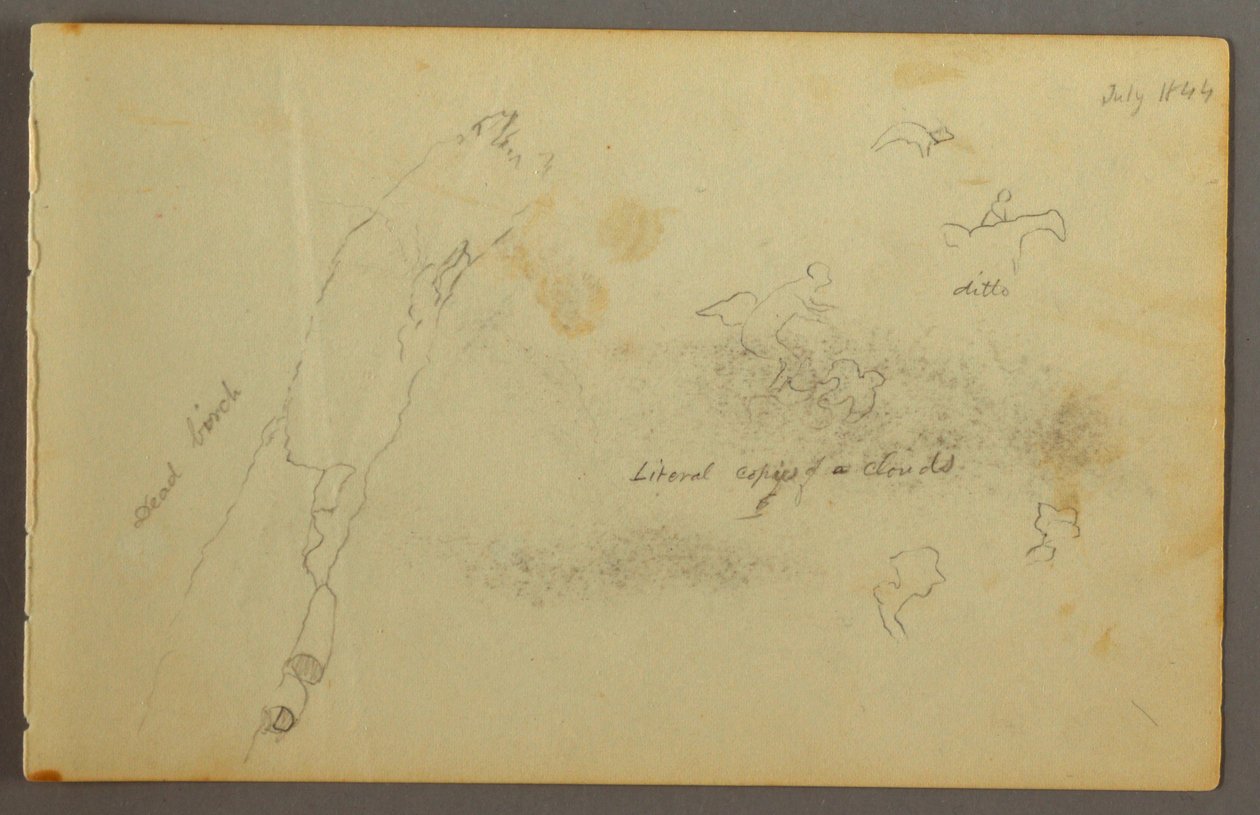 Rysunek, Szkice chmur i martwej brzozy, lipiec 1844 r. autorstwa Frederic Edwin Church
