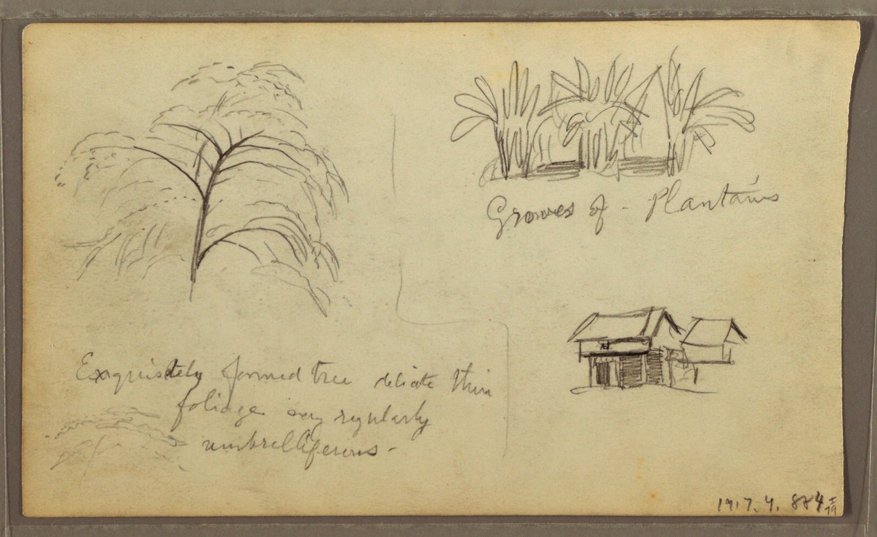 Rysunek, róg ulicy w Guaquil, Ekwador; Verso: Szkice botaniczne, dom, Ekwador lub Kolumbia, 1857 r. autorstwa Frederic Edwin Church