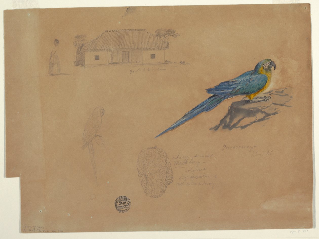 Rysunek, Studia z Guaccamaya, Bogota, Kolumbia, czerwiec-lipiec 1853 r. autorstwa Frederic Edwin Church