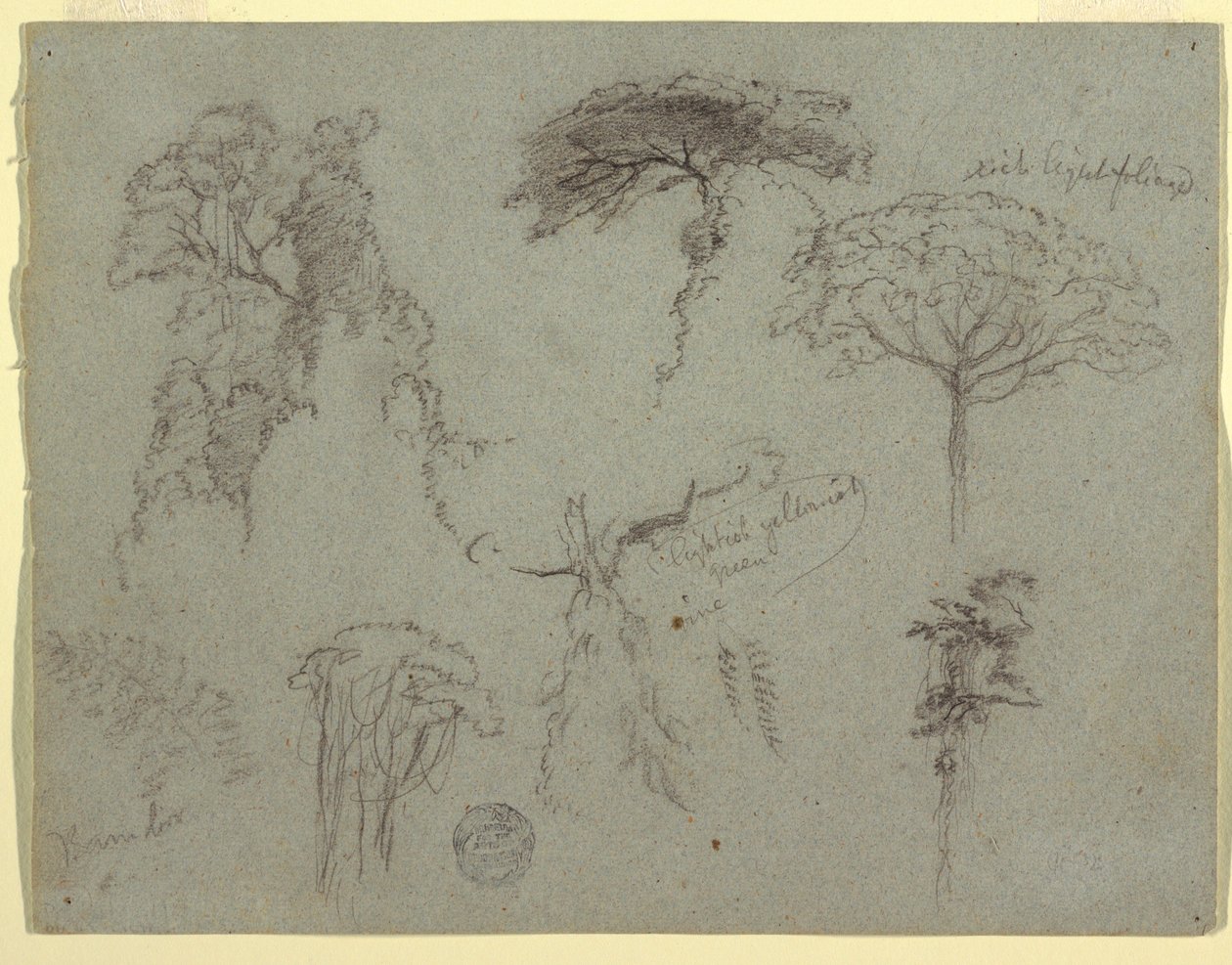 Rysunek, Studium drzew, Ekwador, 1853 r. autorstwa Frederic Edwin Church