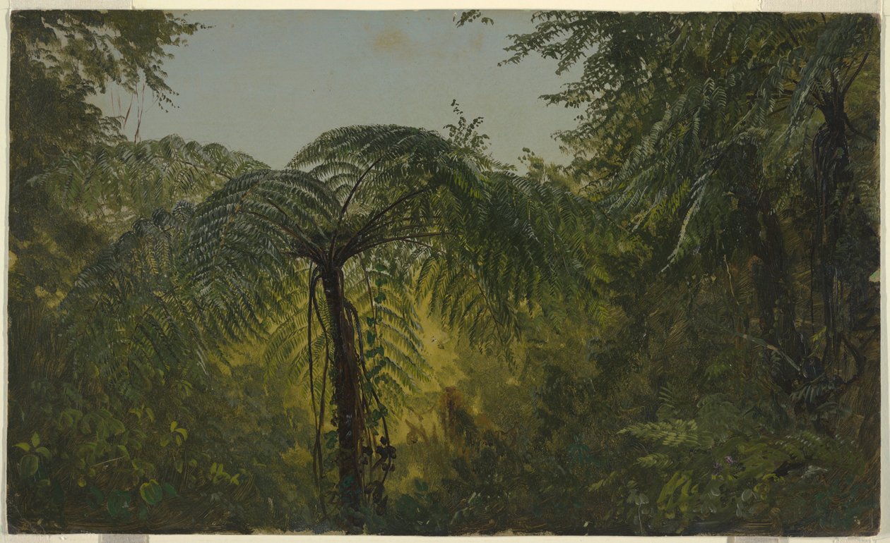 Rysunek, krajobraz tropikalny, czerwiec lub lipiec 1865 r. autorstwa Frederic Edwin Church