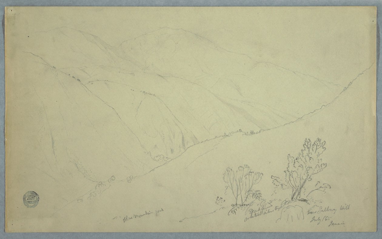 Rysunek, widok szczytu Blue Mountain widziany z okolic Salloway Hill, Jamajka, lipiec 1865 r. autorstwa Frederic Edwin Church