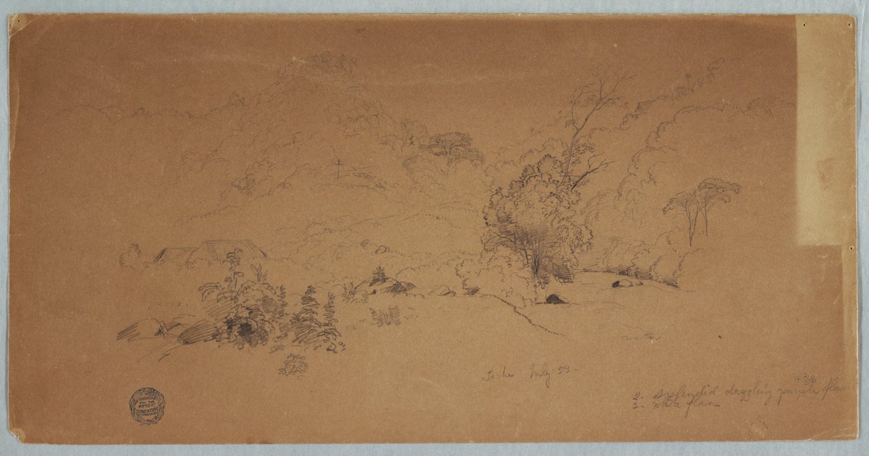 Rysunek, widok na Toche, Kolumbia, lipiec 1853 r. autorstwa Frederic Edwin Church