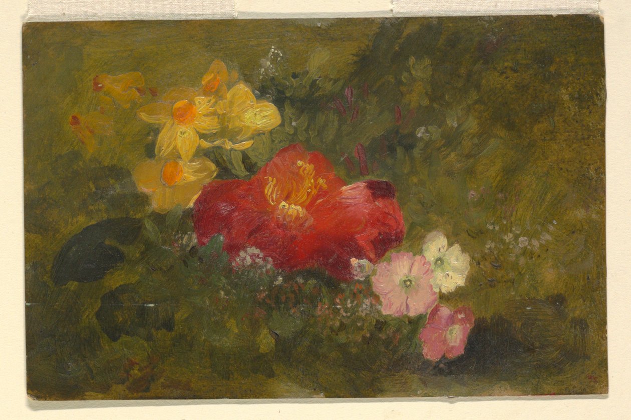 Rysunek, Dzikie kwiaty, Jamajka, 1865 r. autorstwa Frederic Edwin Church