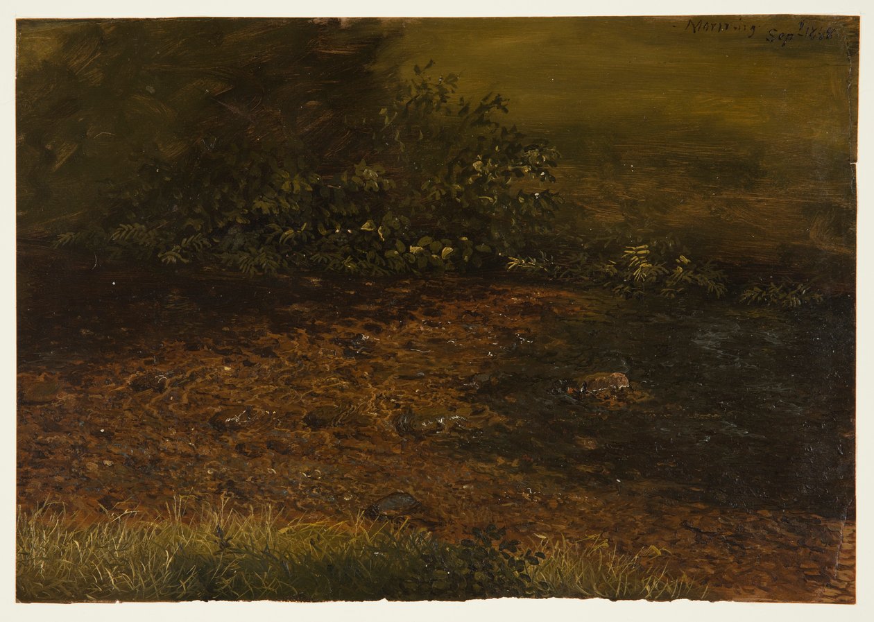 Rysunek, strumień Woodland w Catskills, wrzesień 1848 r. autorstwa Frederic Edwin Church