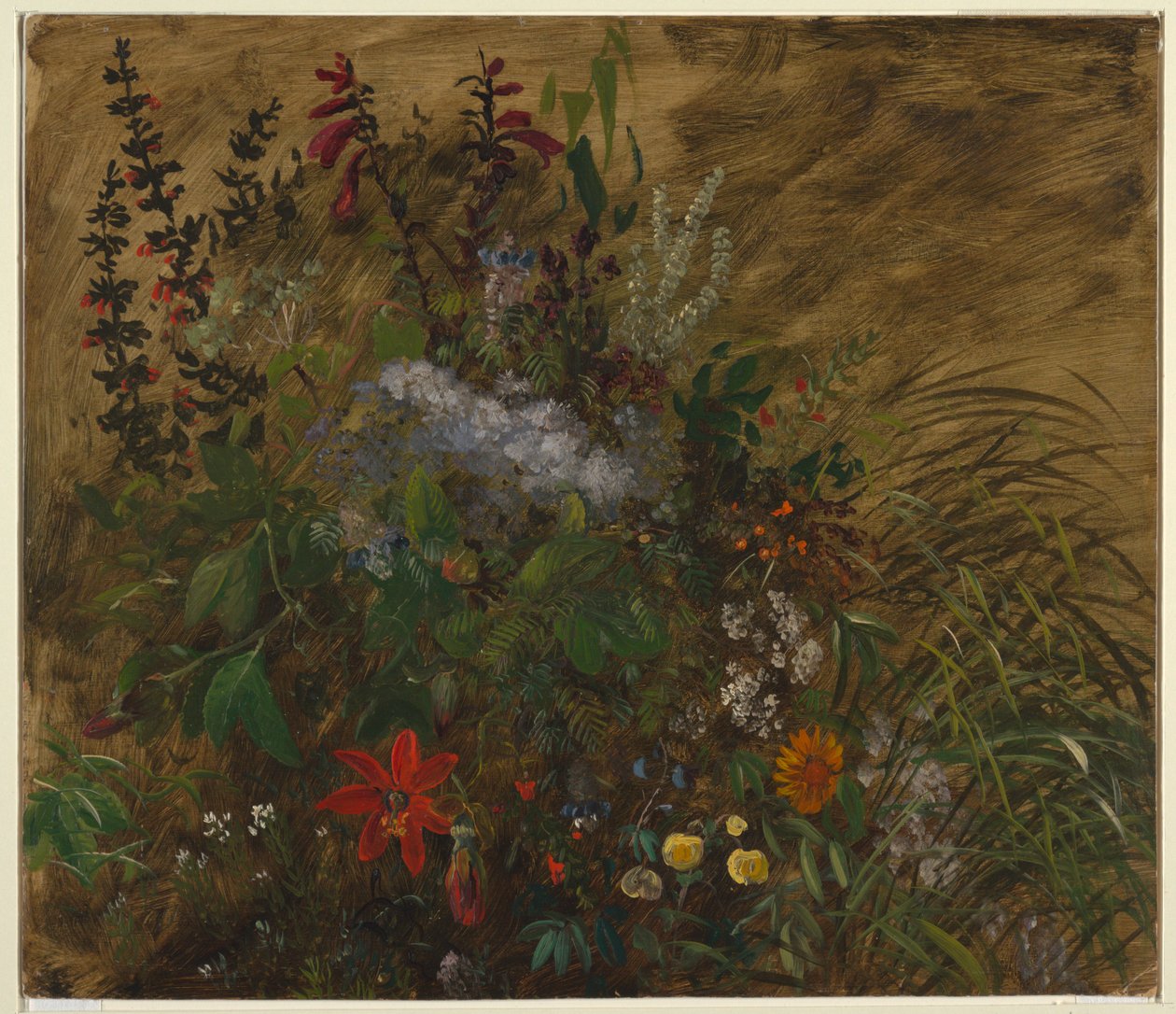 Kwiaty na Jamajce autorstwa Frederic Edwin Church