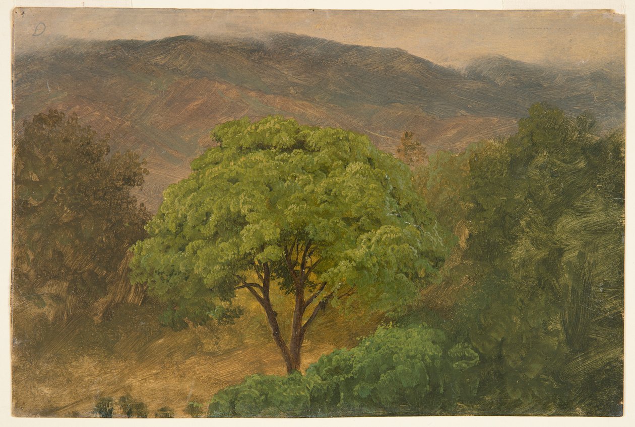 Drzewo Genip w górach, Jamajka autorstwa Frederic Edwin Church