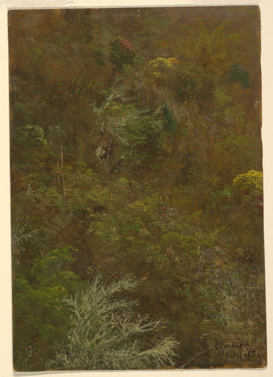Wzgórze z drzewami, Jamajka autorstwa Frederic Edwin Church