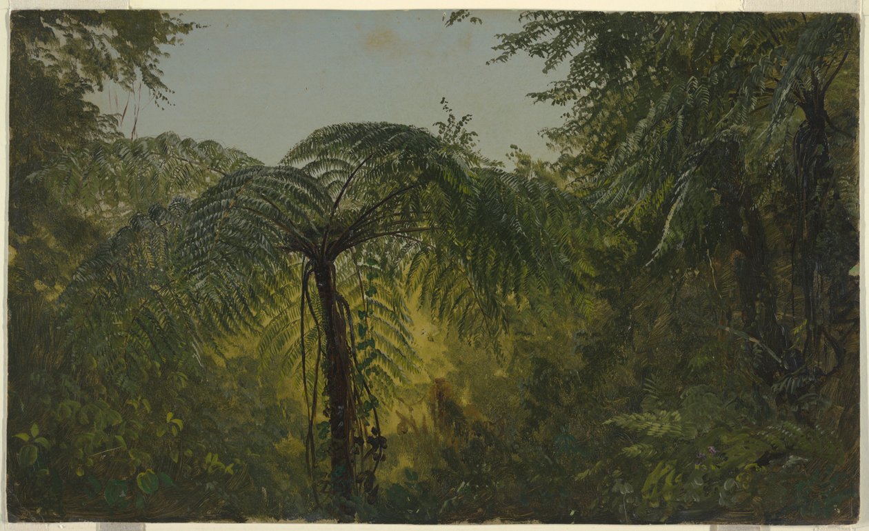 Liście dżungli, Jamajka autorstwa Frederic Edwin Church