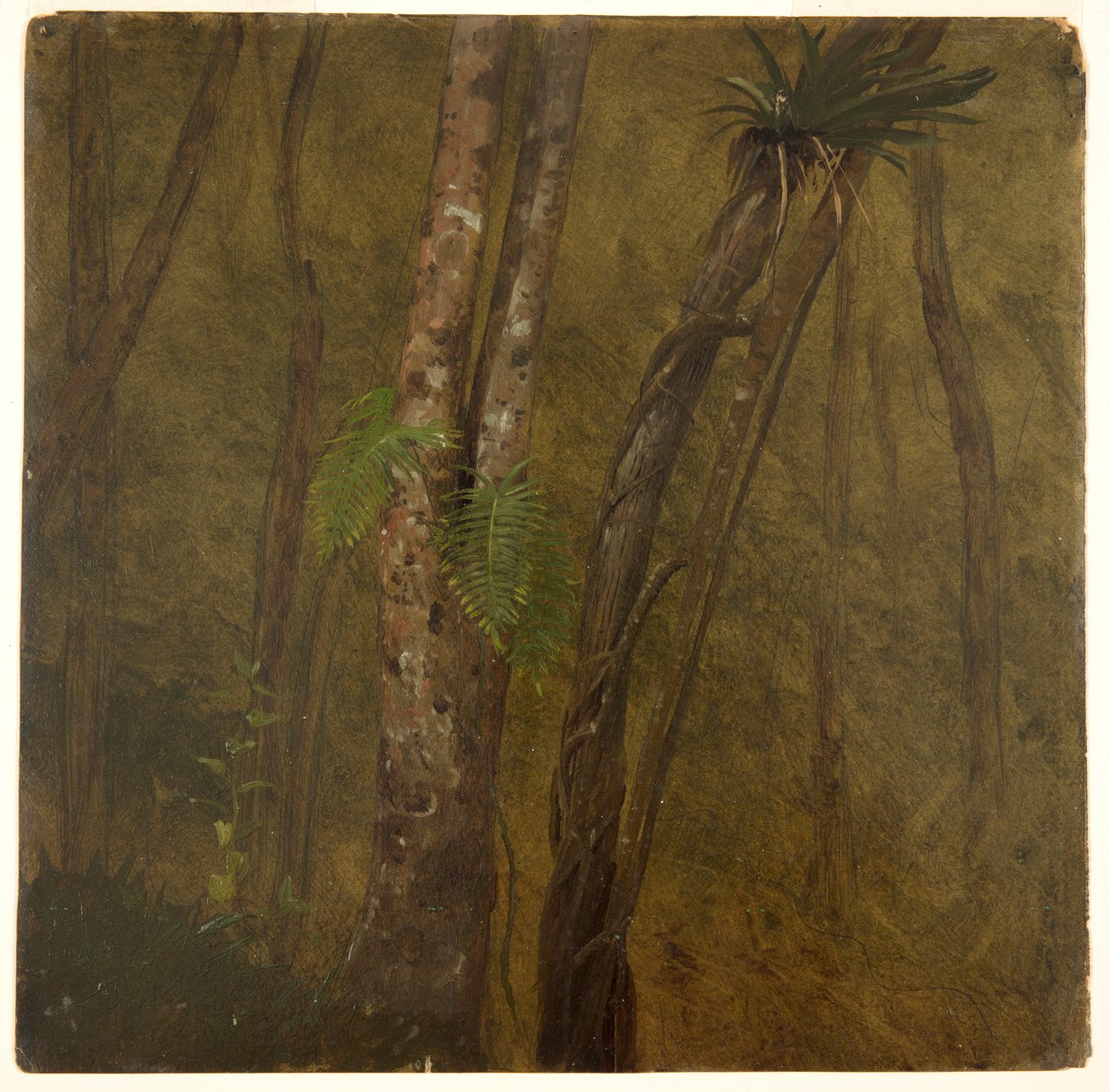 Krajobraz na Jamajce autorstwa Frederic Edwin Church