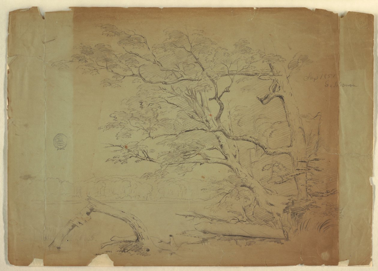 Krajobraz z drzewami i strumieniem [?], Wyspa Grand Manan, Kanada autorstwa Frederic Edwin Church