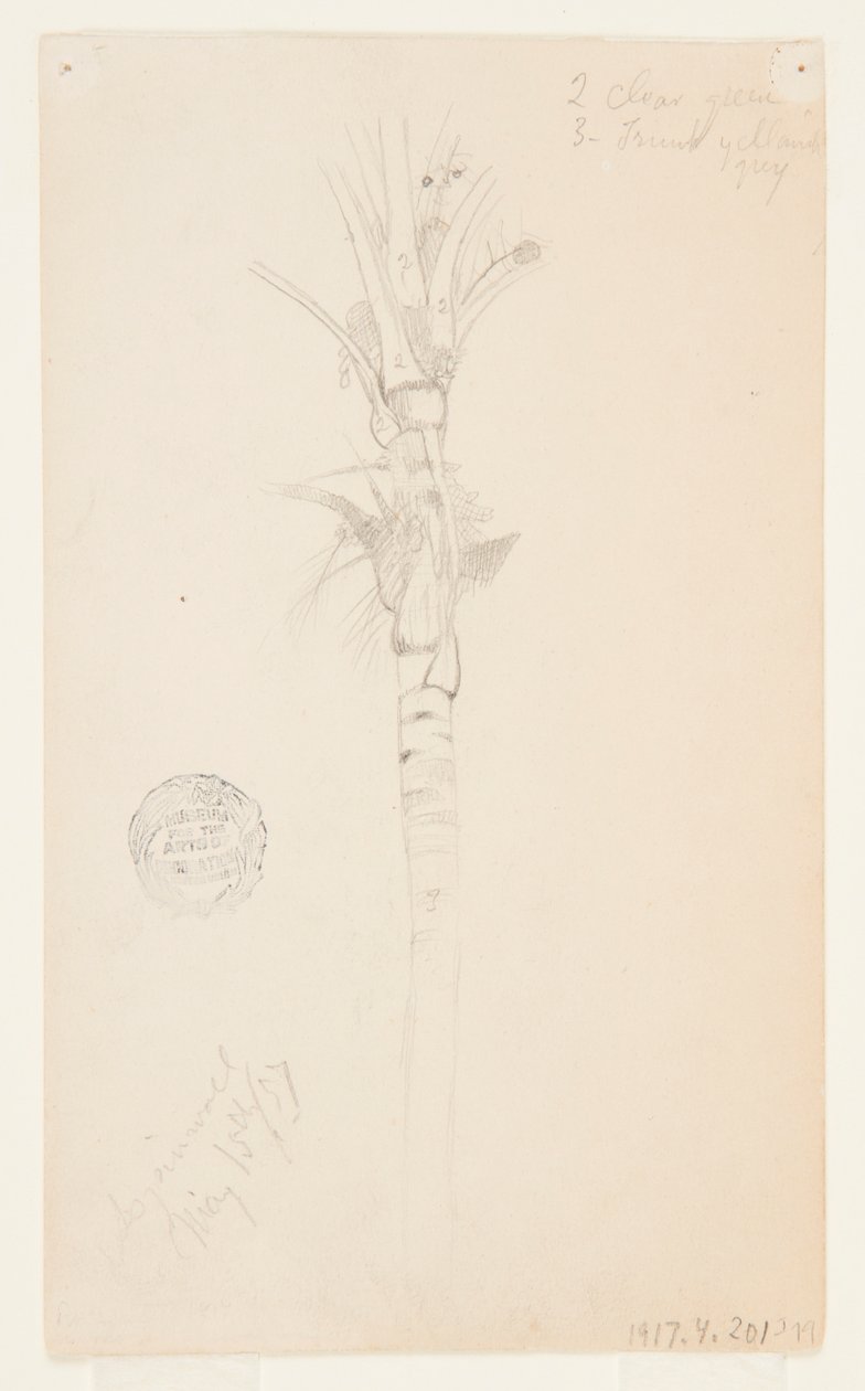 Liście i łodyga palmy, Aspinwall, Panama autorstwa Frederic Edwin Church