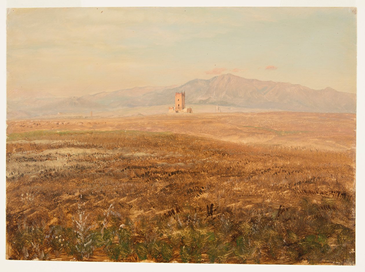 Meksykański krajobraz autorstwa Frederic Edwin Church