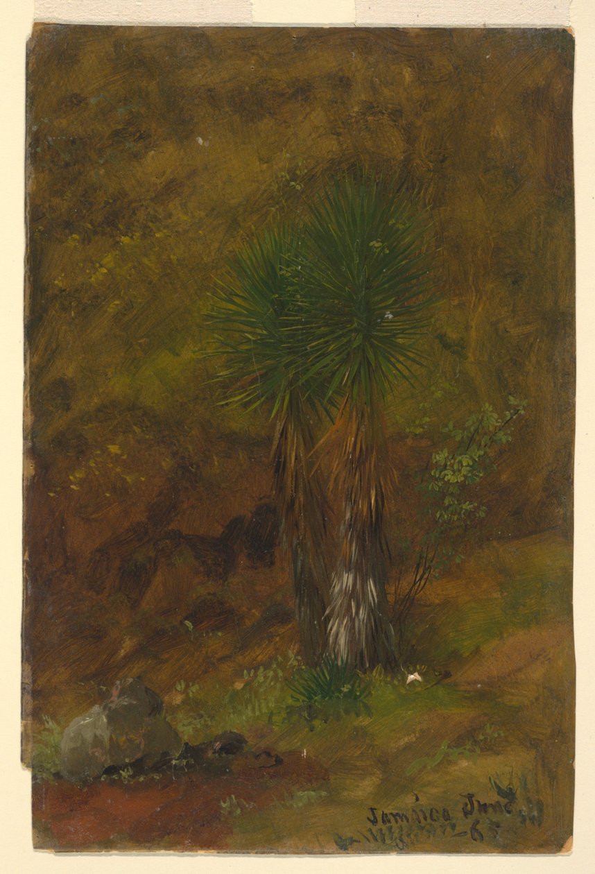 Palmy, Jamajka autorstwa Frederic Edwin Church