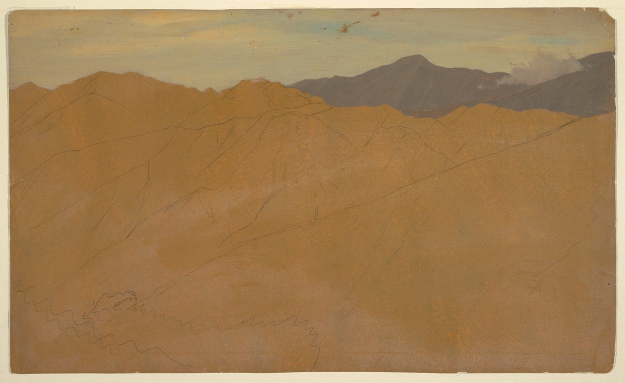 Palmy i dachy, Ekwador autorstwa Frederic Edwin Church