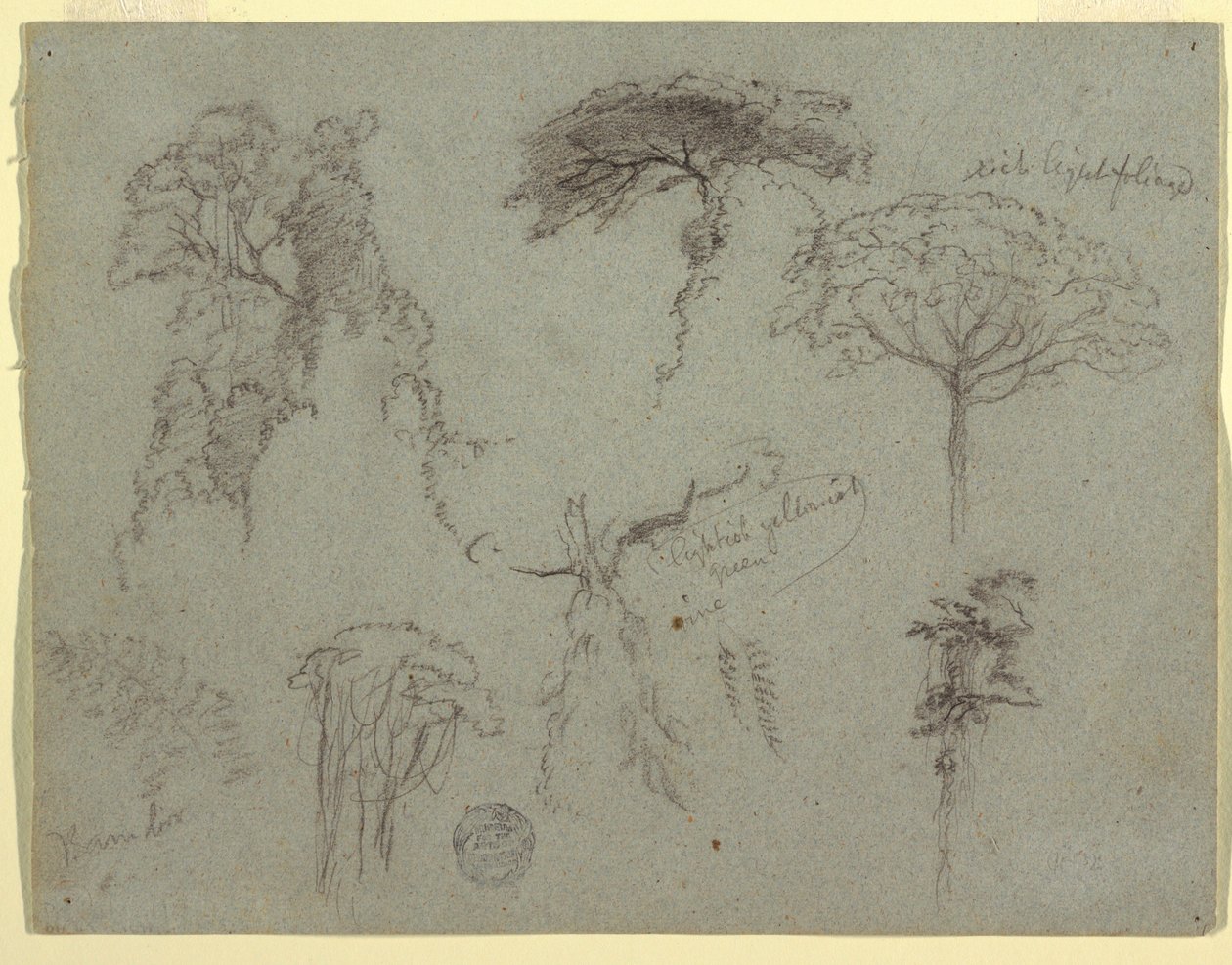 Badania Drzew, Ekwador autorstwa Frederic Edwin Church