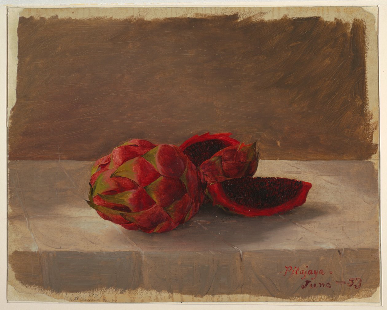 Owoc Pitajaya, Kolumbia autorstwa Frederic Edwin Church