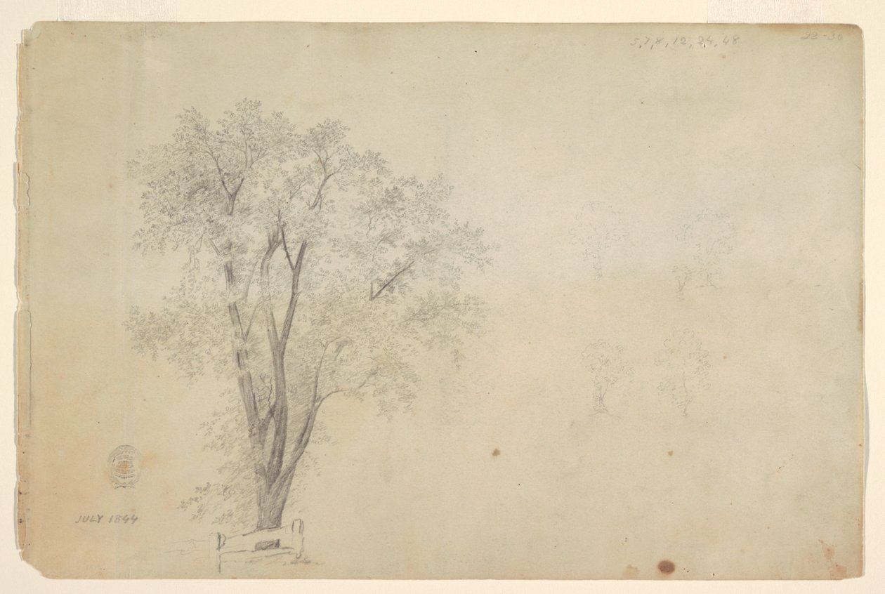 Drzewa autorstwa Frederic Edwin Church