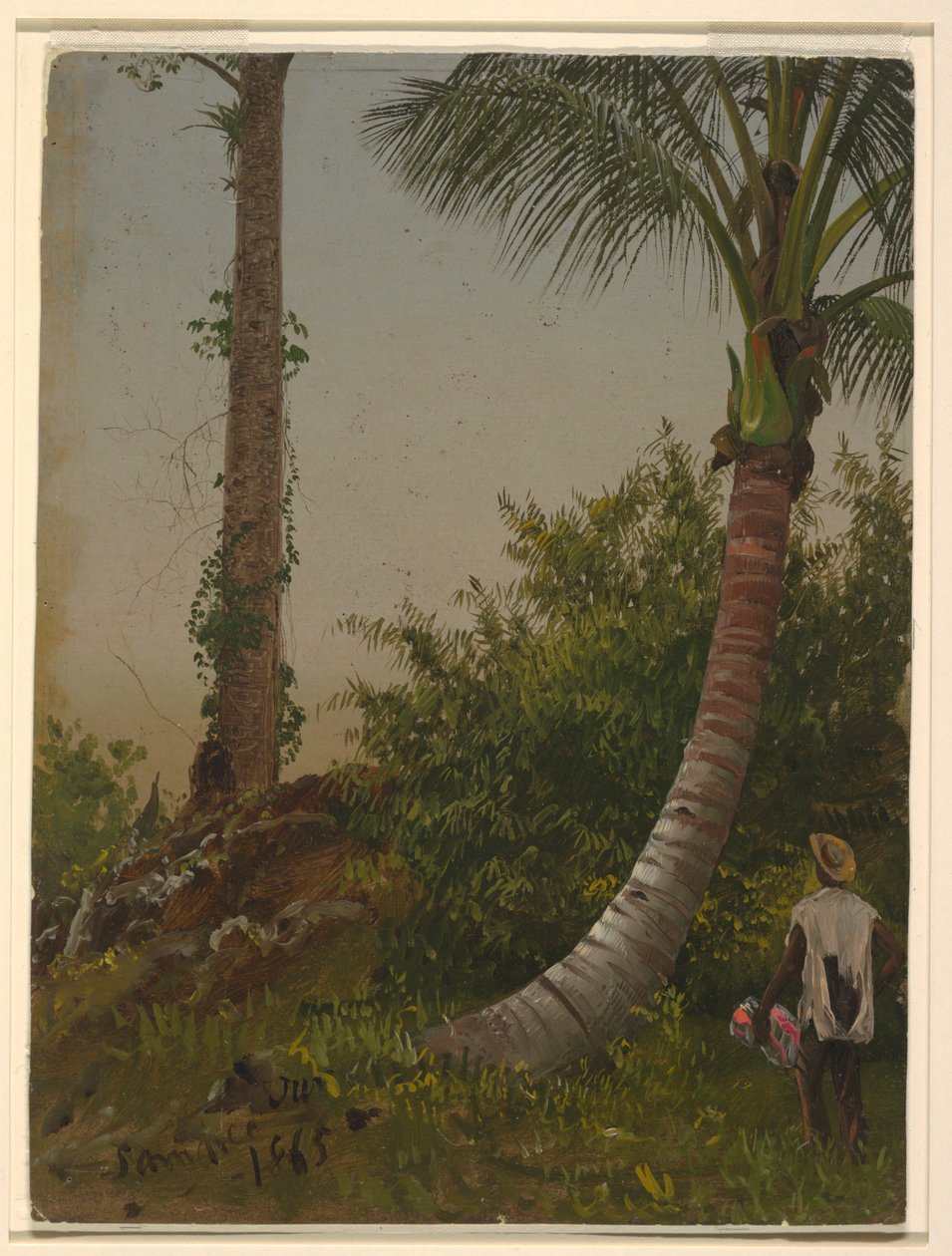 Drzewa na Jamajce, Indie Zachodnie autorstwa Frederic Edwin Church