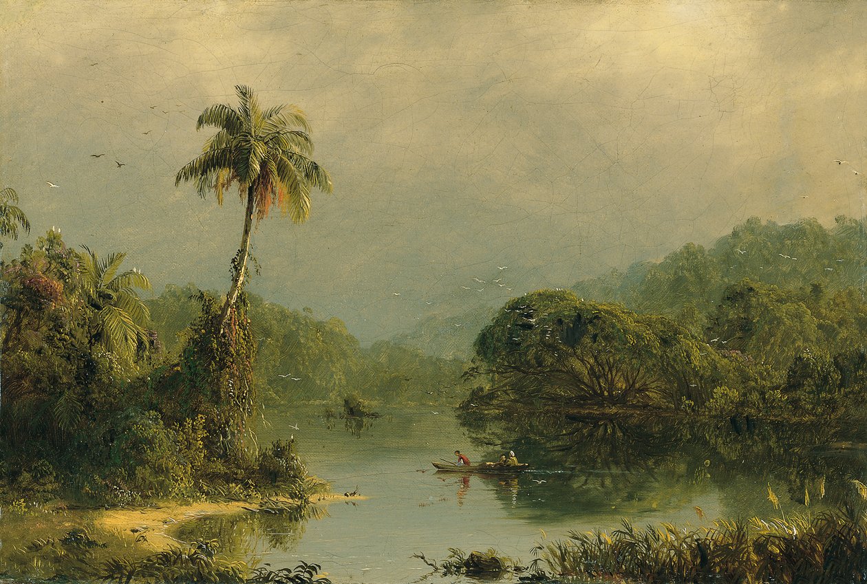 Krajobraz tropikalny autorstwa Frederic Edwin Church