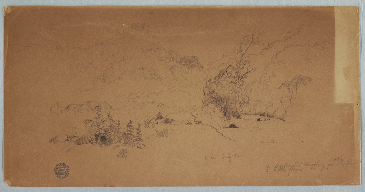 Widok na Toche, Kolumbia autorstwa Frederic Edwin Church