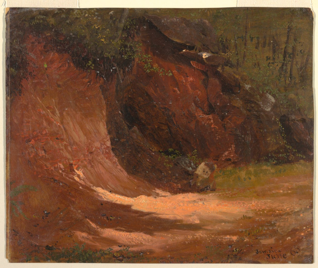 Woodland Bank, Jamajka autorstwa Frederic Edwin Church