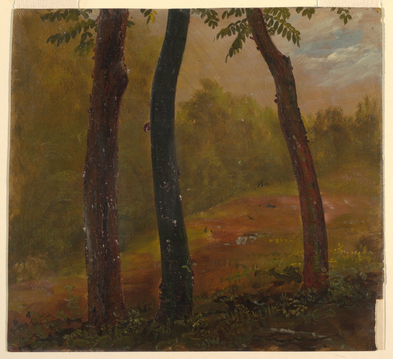 Scena leśna, Jamajka autorstwa Frederic Edwin Church