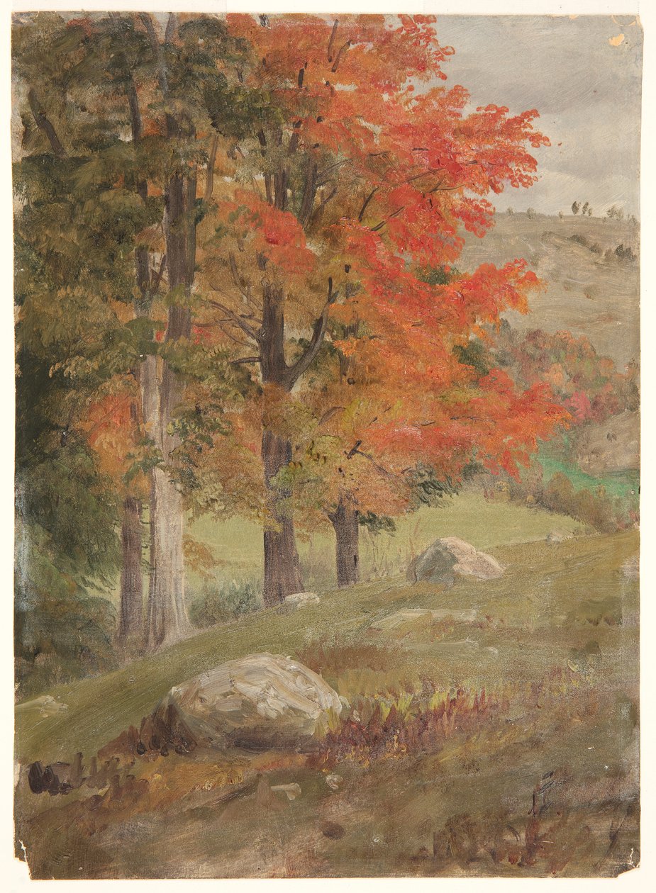 Lasy jesienią autorstwa Frederic Edwin Church