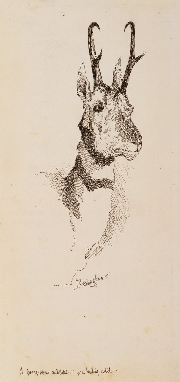 Antylopa widłoroga autorstwa Frederic Remington