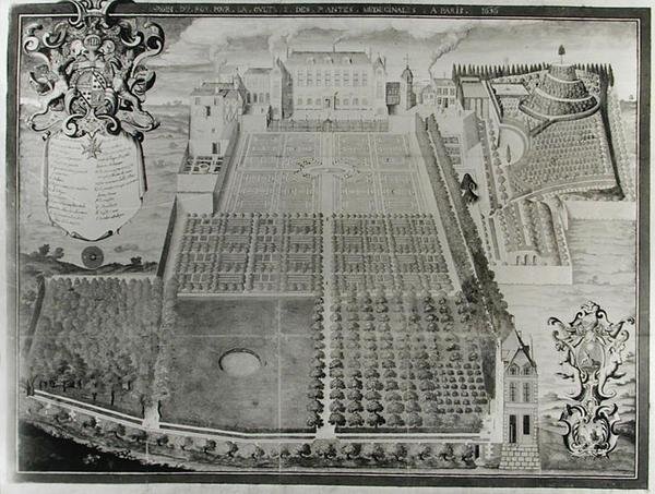 Królewski Ogród Roślin Leczniczych, 1636 autorstwa Frederic Scalberge