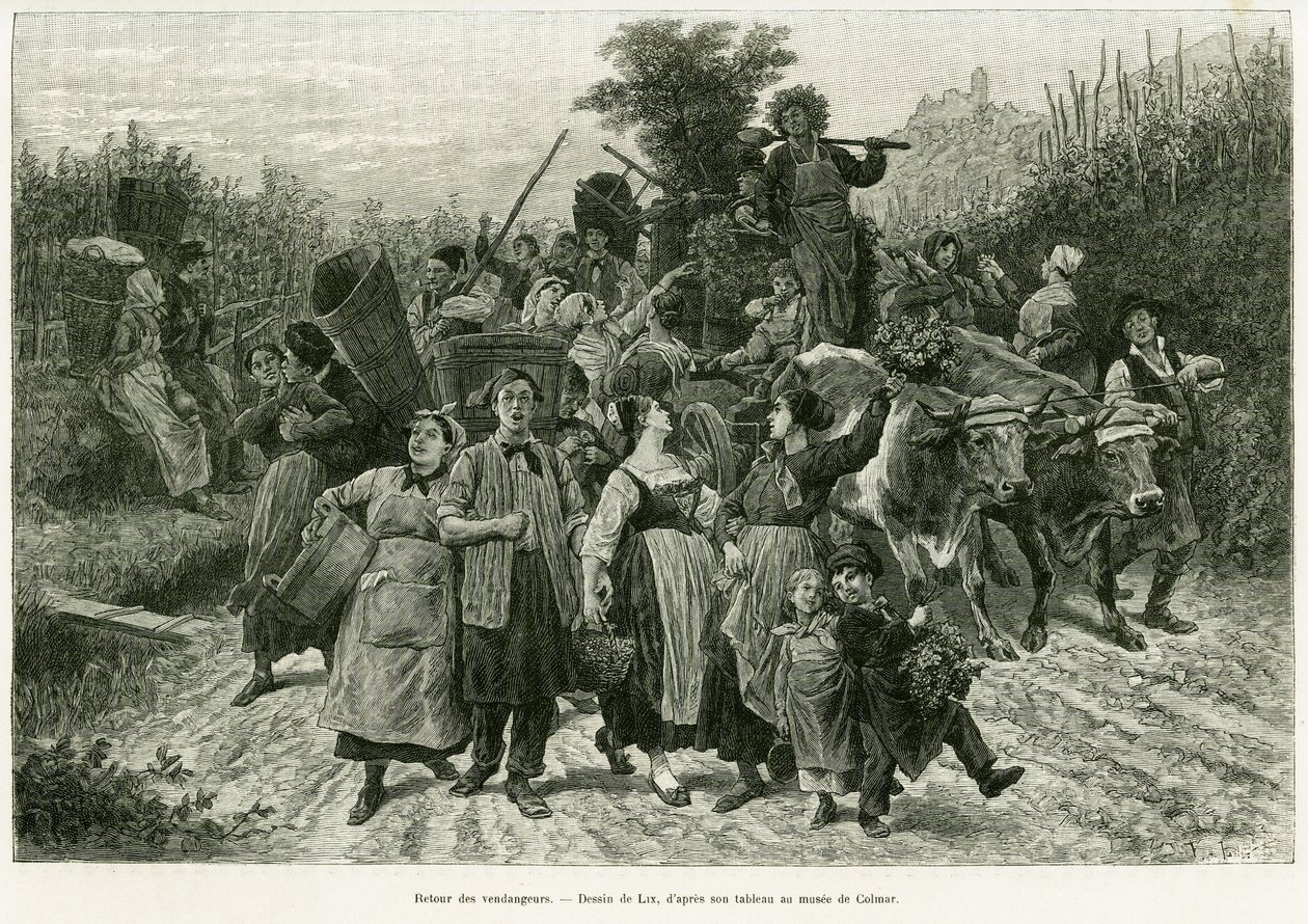Powrót zbiorów. Grawerowanie autorstwa Lixa, ilustrujące opowiadanie „Przez Alzację i Lotaryngię”, w 1887 r., autorstwa Charlesa Grada, niemieckiego zastępcy, w tour du monde 1888, w reżyserii Edouarda Chartona (1807-1890), Hachette, Paryż. autorstwa Frederic Theodore Lix
