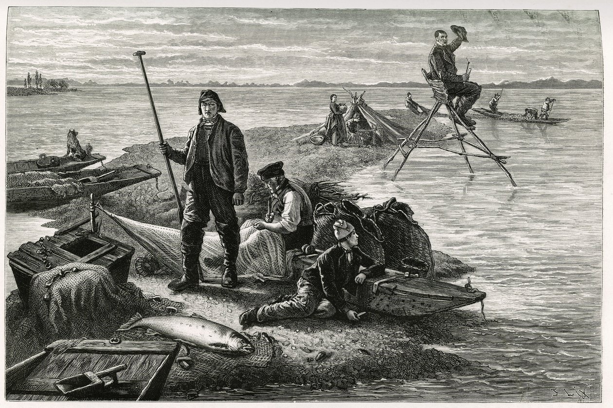 Połów łososia. Grawer autorstwa F.Lixa, ilustrujący opowieść „Przez Alzację i Lotaryngię””, w 1884 r. autorstwa Charlesa Grada (1842-1890), niemieckiego deputowanego, pisarza i przyrodnika. Opublikowano w Le Tour du monde, nouveau journal des voyages, 2. s autorstwa Frederic Theodore Lix