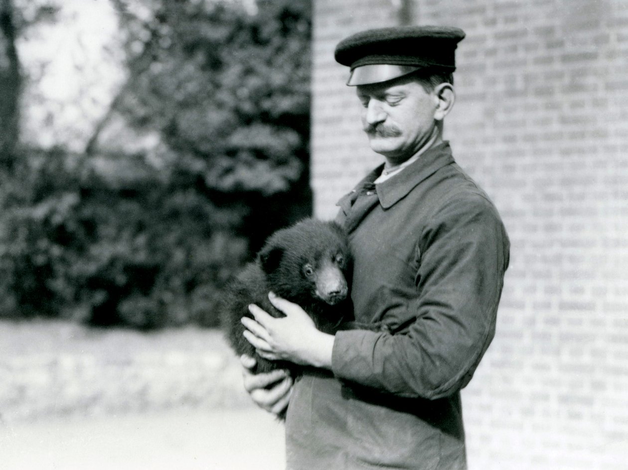Opiekun trzyma niedźwiadka leniwca w londyńskim zoo, sierpień 1921 r. autorstwa Frederick William Bond