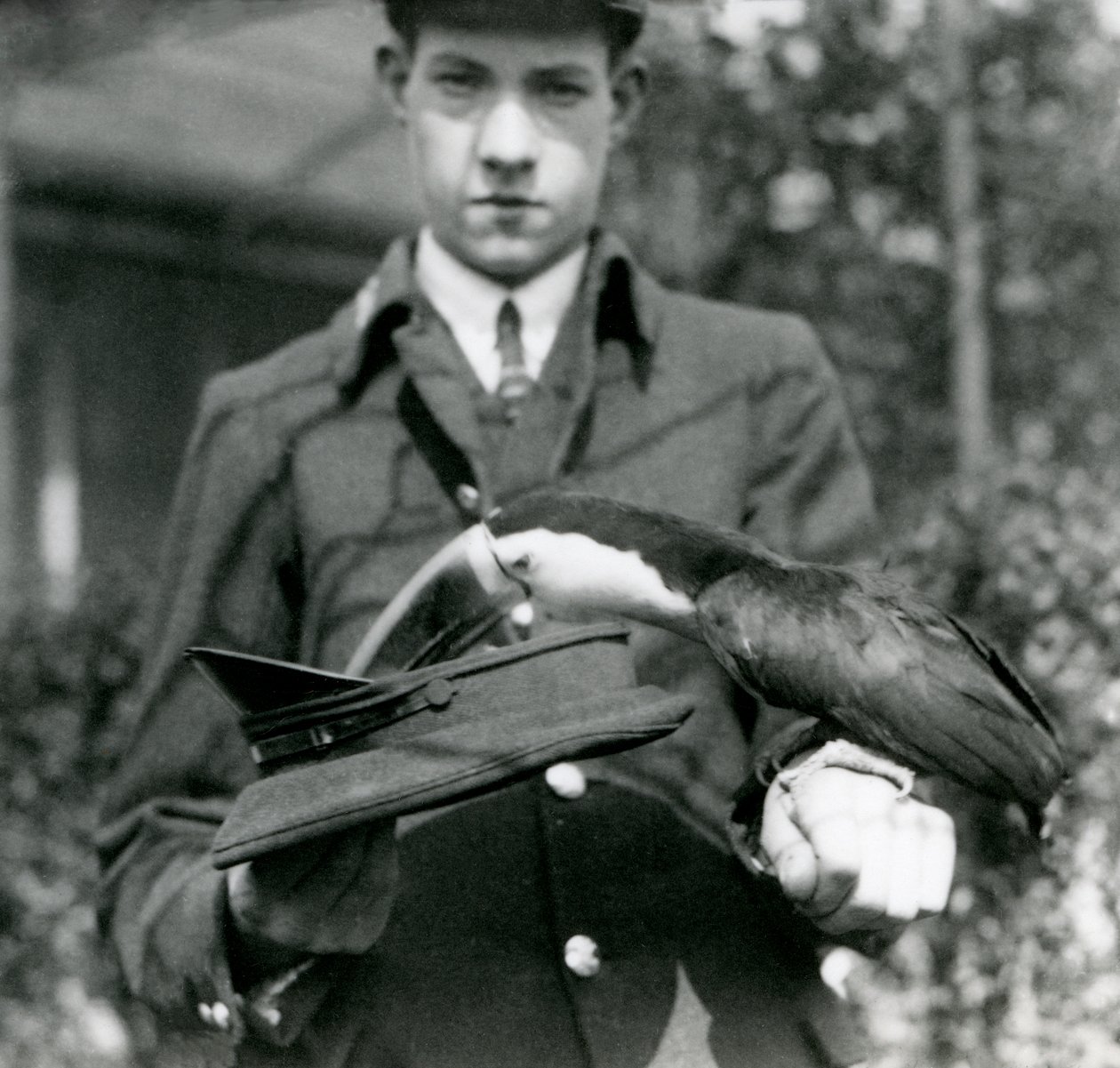 Tukan czerwonodzioby wyciąga bilet z kapelusza trzymanego przez strażnika C. Herseya, londyńskie zoo, 1923 (bw photo) autorstwa Frederick William Bond