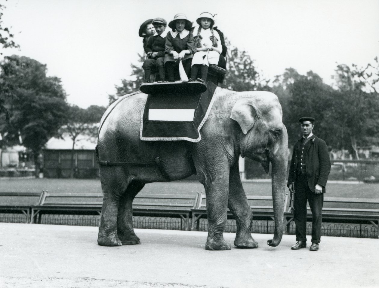 Samica słonia indyjskiego "Nellie" z opiekunem, dająca dzieciom przejażdżkę w londyńskim zoo, maj 1914 r. autorstwa Frederick William Bond