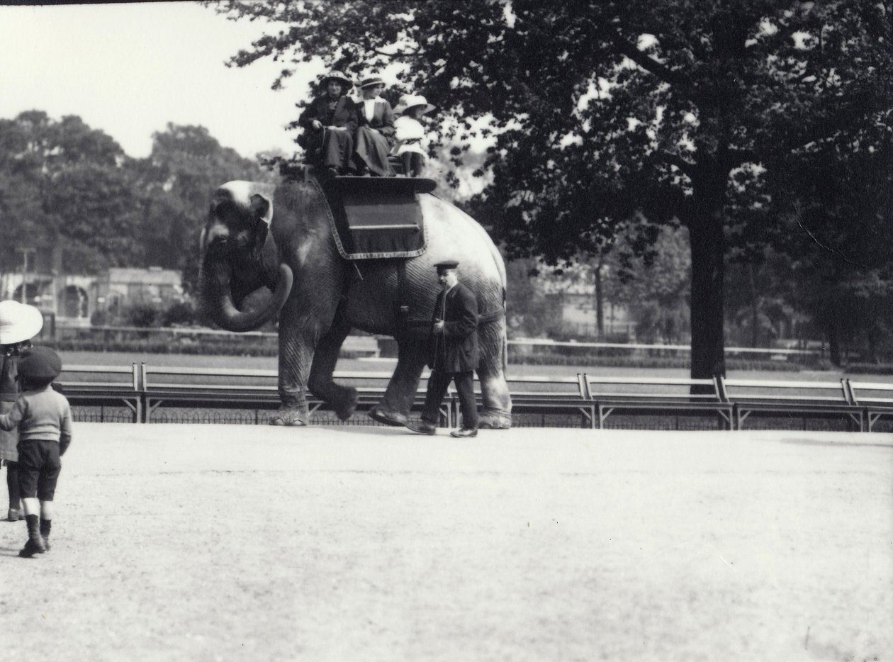 Słoń azjatycki dosiadany przez dwie panie i młodą dziewczynę, z opiekunem u boku, londyńskie zoo, maj 1914 autorstwa Frederick William Bond