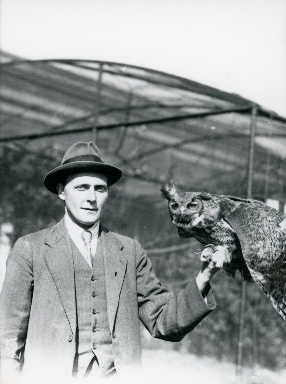 Puchacz trzymany przez J. Baileya, nadzorcę ptaków w londyńskim zoo przez trzydzieści lat. Czerwiec 1920 autorstwa Frederick William Bond