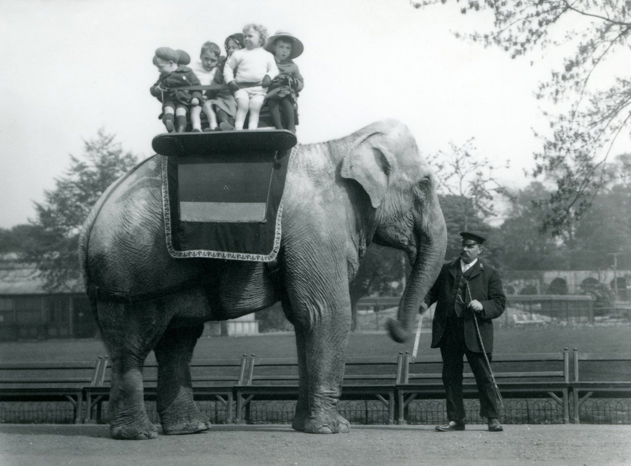 Słoń indyjski z opiekunem, zabierający małe dzieci na przejażdżkę do londyńskiego zoo, ok. 1913 r. autorstwa Frederick William Bond