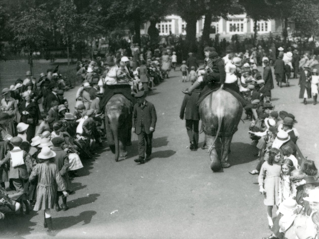 Jazda na słoniu azjatyckim z tłumami gapiów w londyńskim zoo, 1922 (mc. zdjęcie) autorstwa Frederick William Bond
