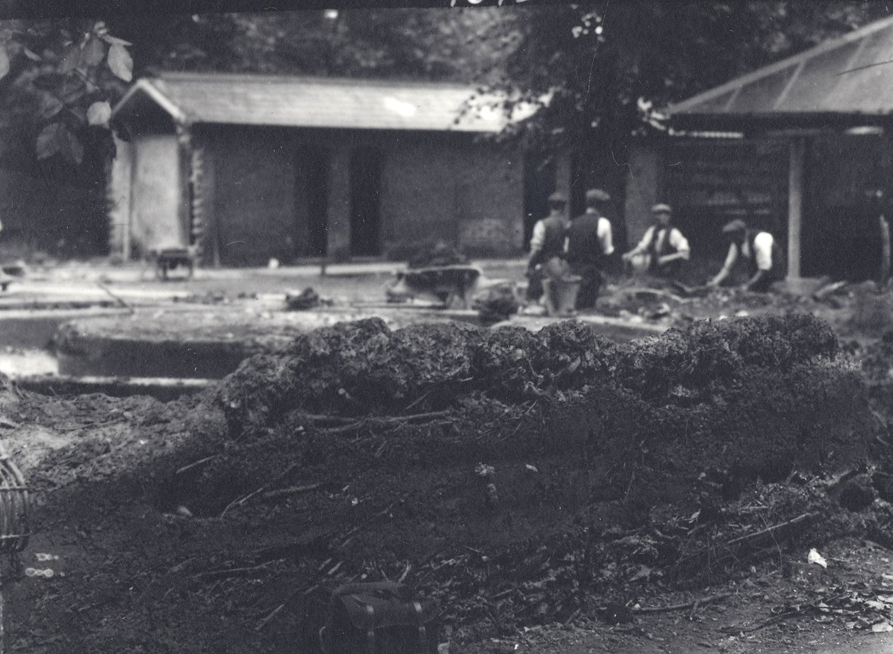 Domek bobrów z opiekunami w tle, londyńskie zoo, lipiec 1916 r. autorstwa Frederick William Bond