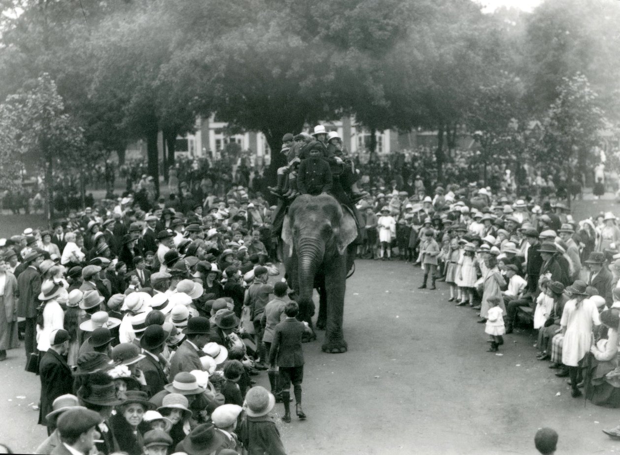Tłumy zwiedzających oglądają przejażdżkę na słoniu w londyńskim zoo, sierpniowe święto bankowe, 1922 r. autorstwa Frederick William Bond