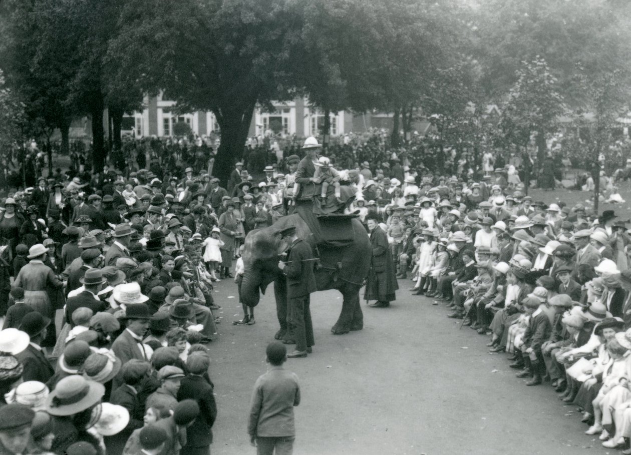 Tłumy odwiedzających oglądają przejażdżkę słoniem w londyńskim zoo, sierpniowe święto bankowe, 1922 r autorstwa Frederick William Bond